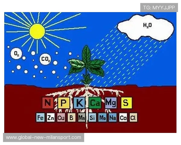 比赛关键因素总结