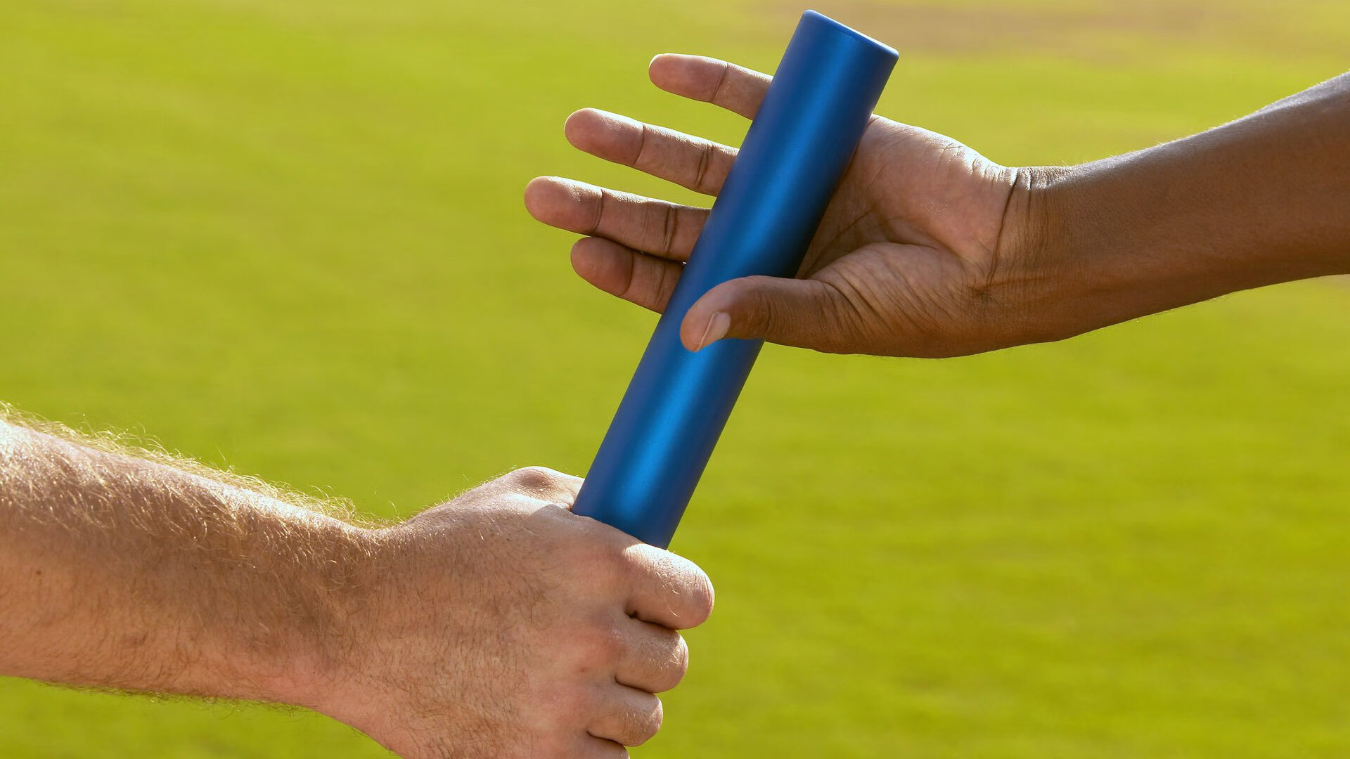 城市赛事志愿者团队荣获市级表彰提升公众影响力,赛事志愿服务