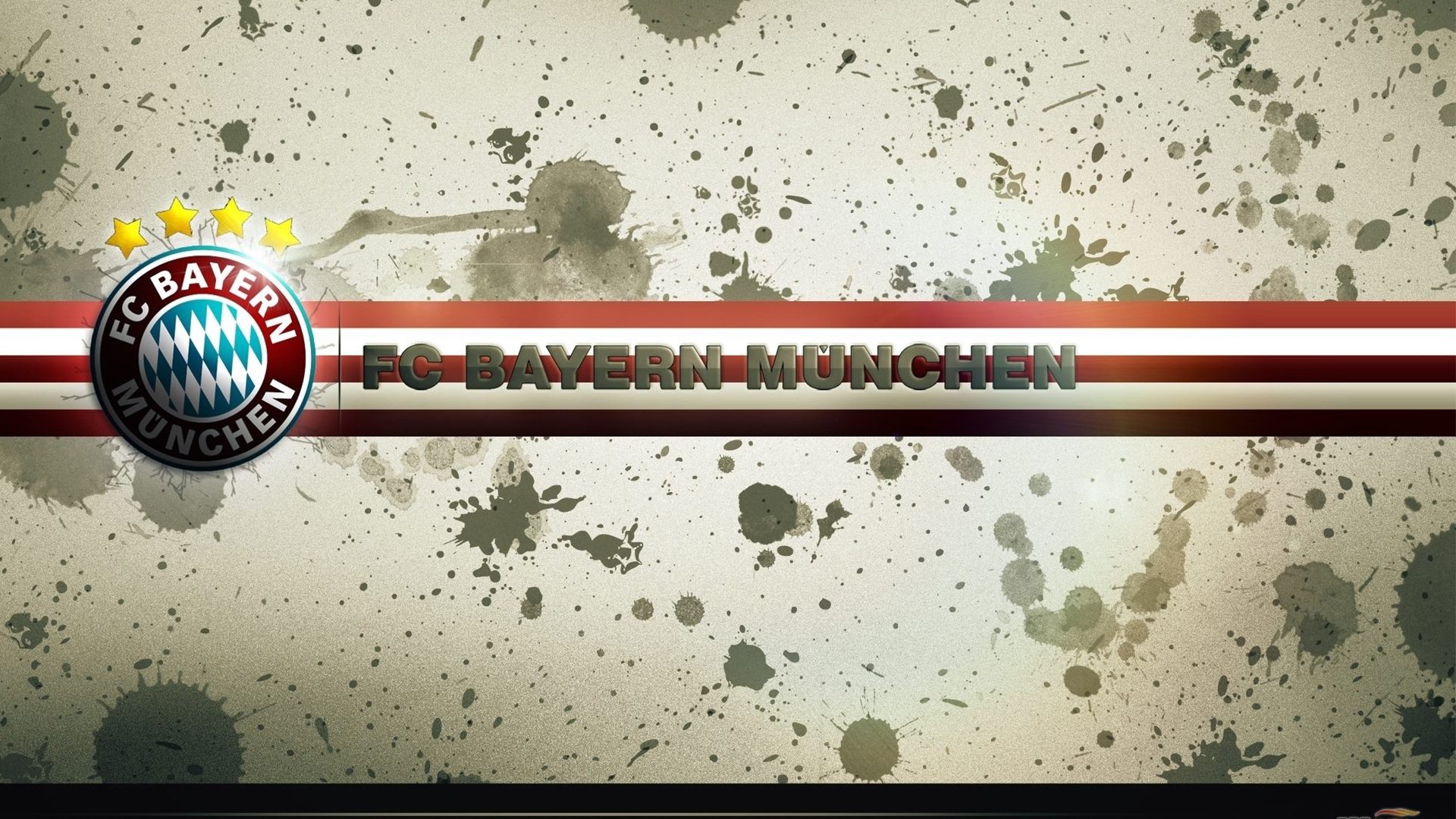 ac米兰中文官方网站-“美洲狮队表现超群，成为橄榄球未来竞争者之一”